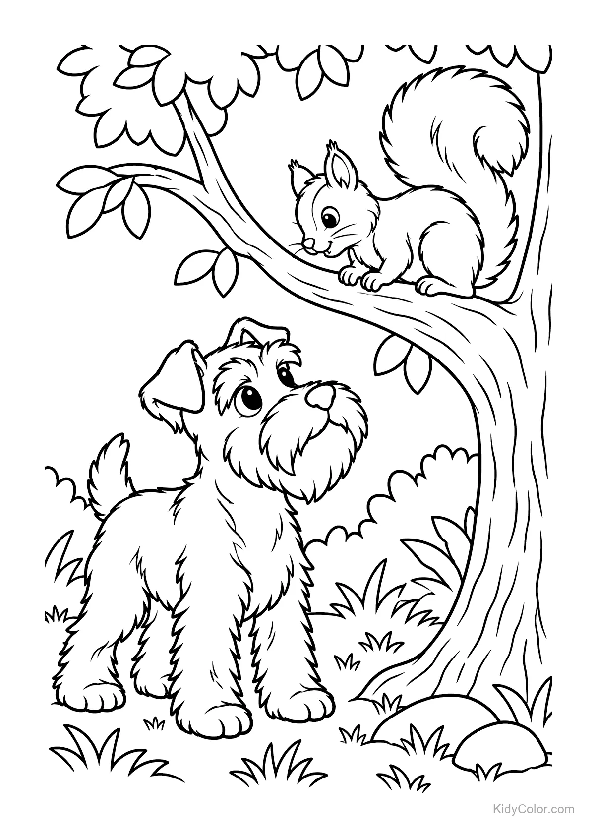 Zwergschnauzer schaut ein Eichhörnchen im Baum an.