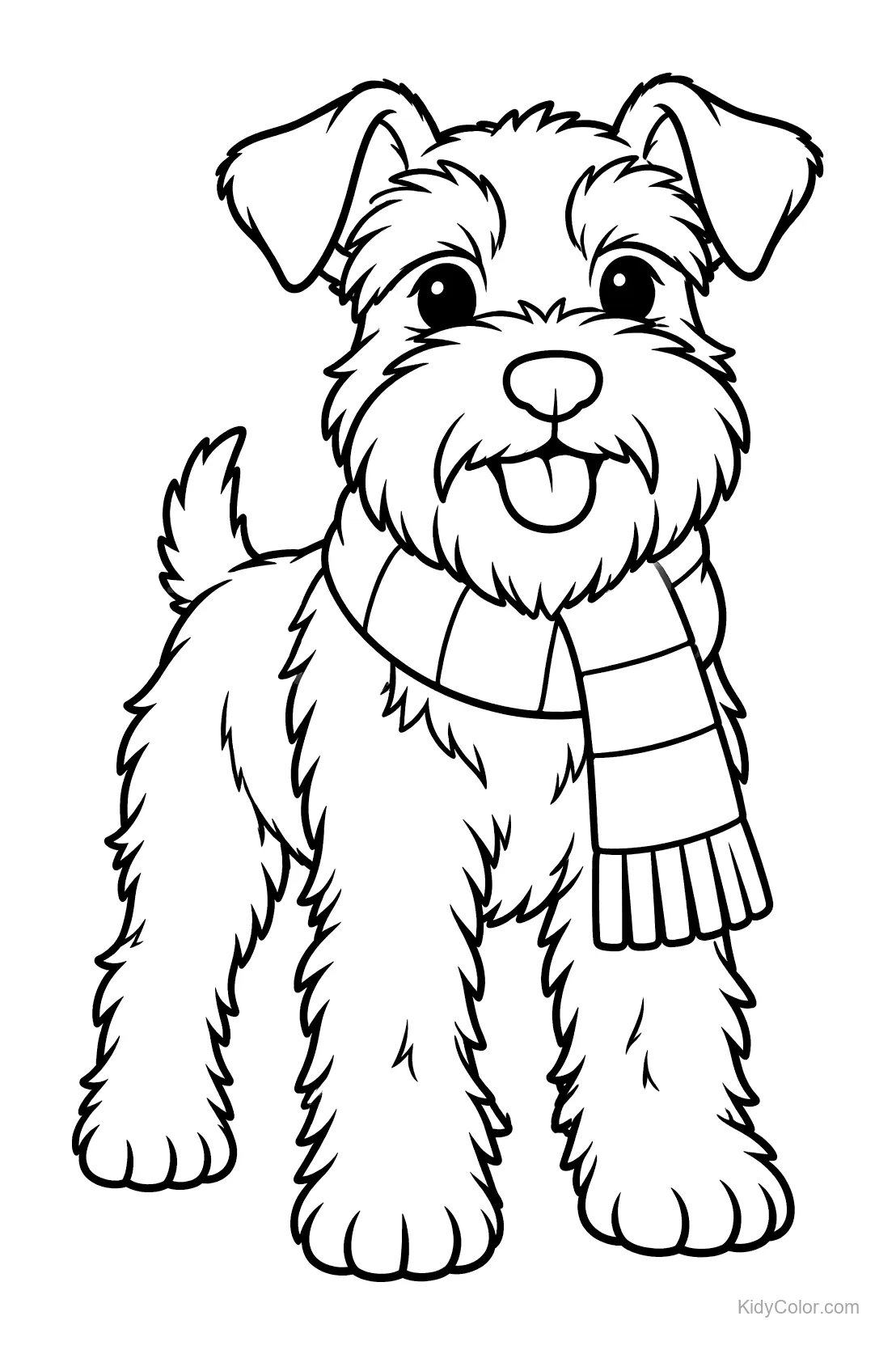 Schnauzer nano con sciarpa, dall'aspetto felice.