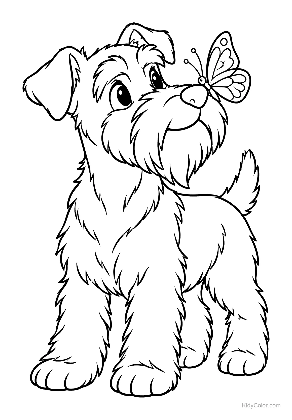 Schnauzer nano con una farfalla sul naso.