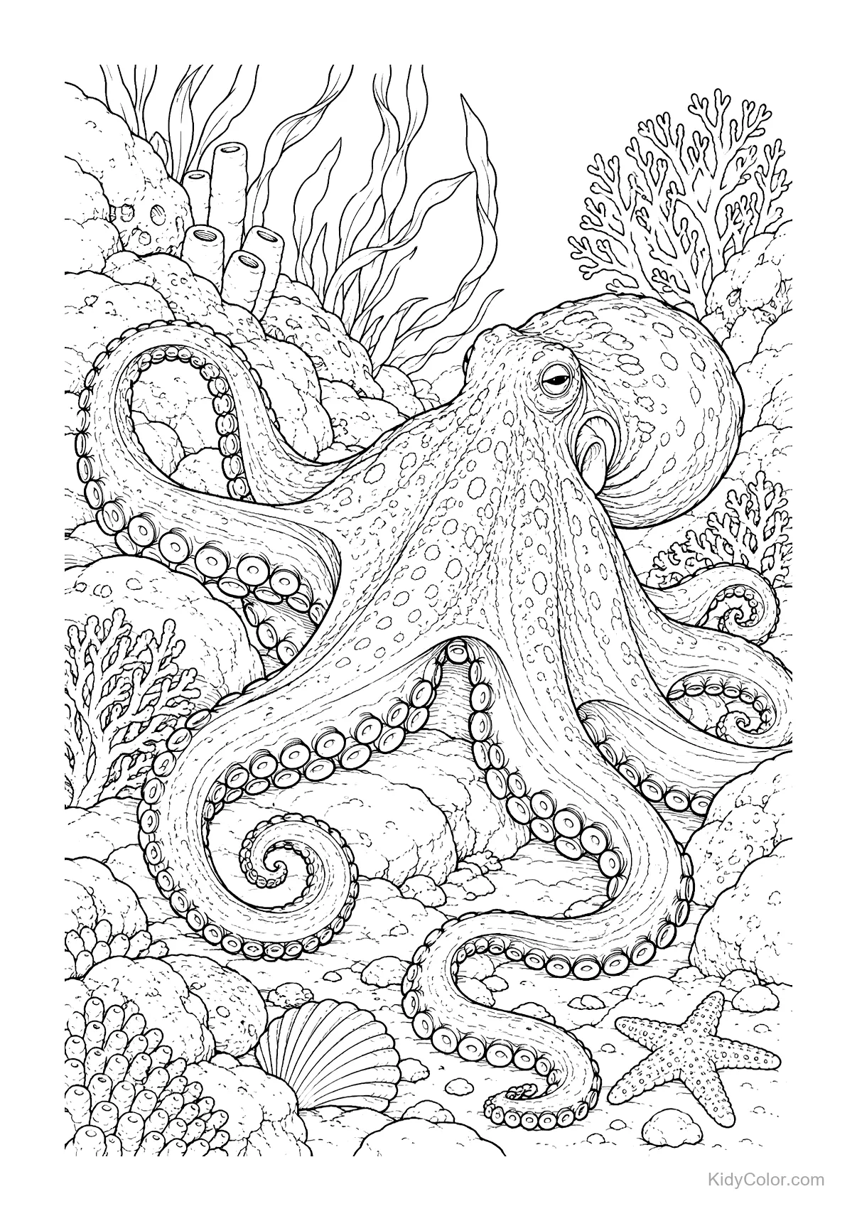 Ein Oktopus in einem Korallenriff mit Korallen, Seestern und Seepflanzen.