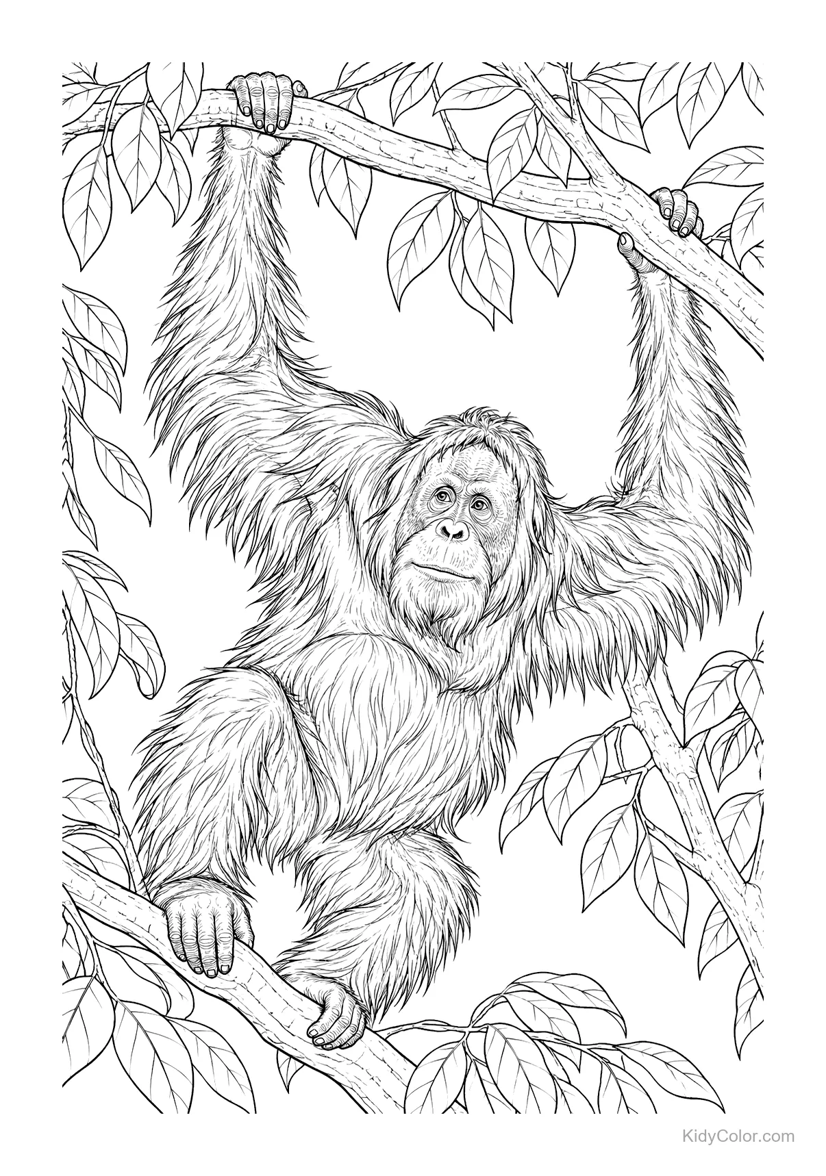 An orangutan climbing a tree branch in a jungle setting.