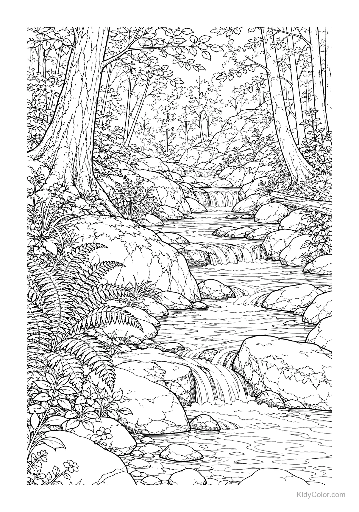 A forest stream flowing between rocks and surrounded by trees and bushes.