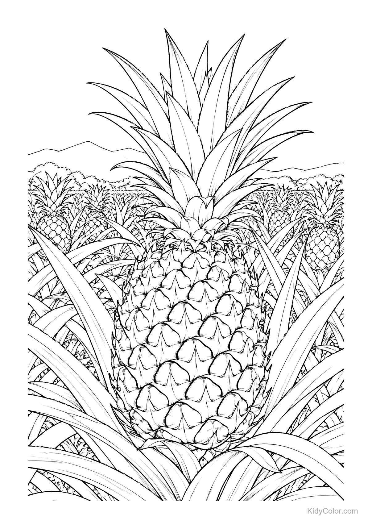 A pineapple in a field with more pineapples in the background.
