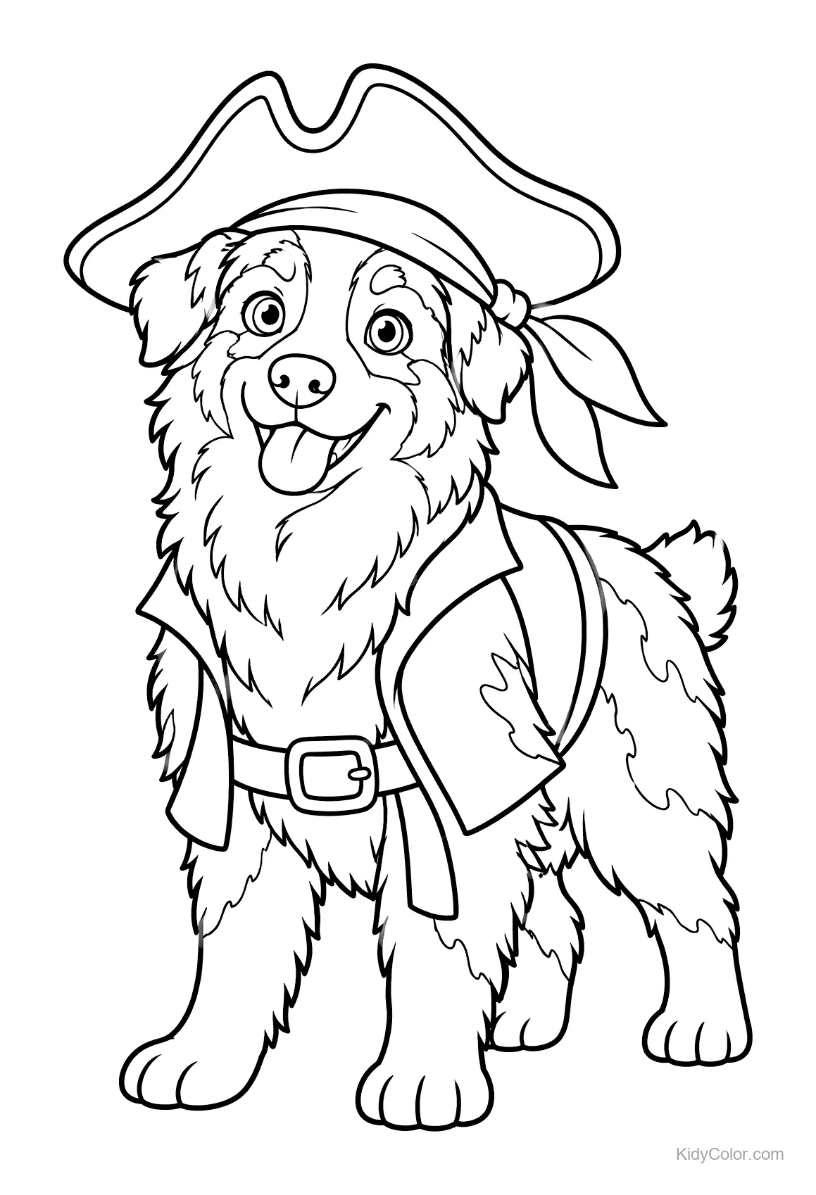 Vrolijke Australische herder met piratenhoed en vest.