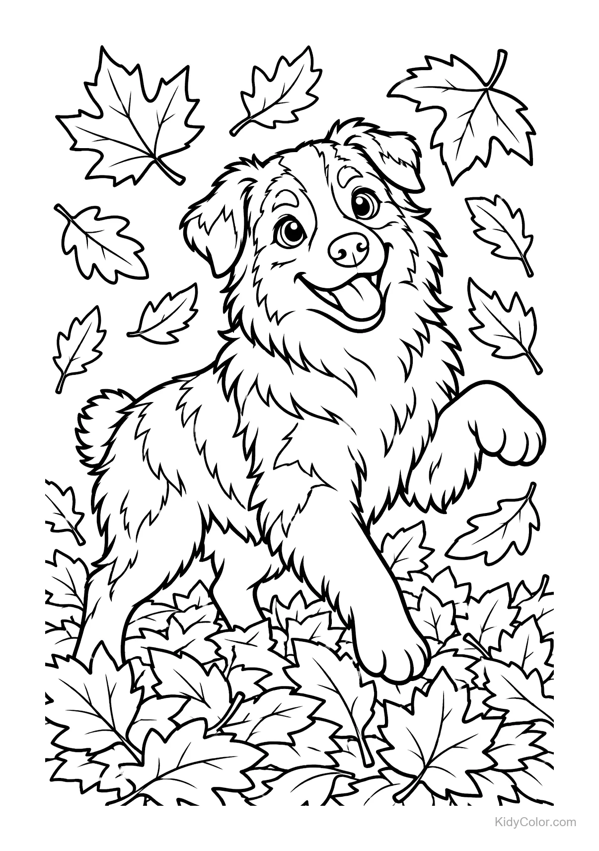 Australian Shepherd spielt im Herbstlaub.