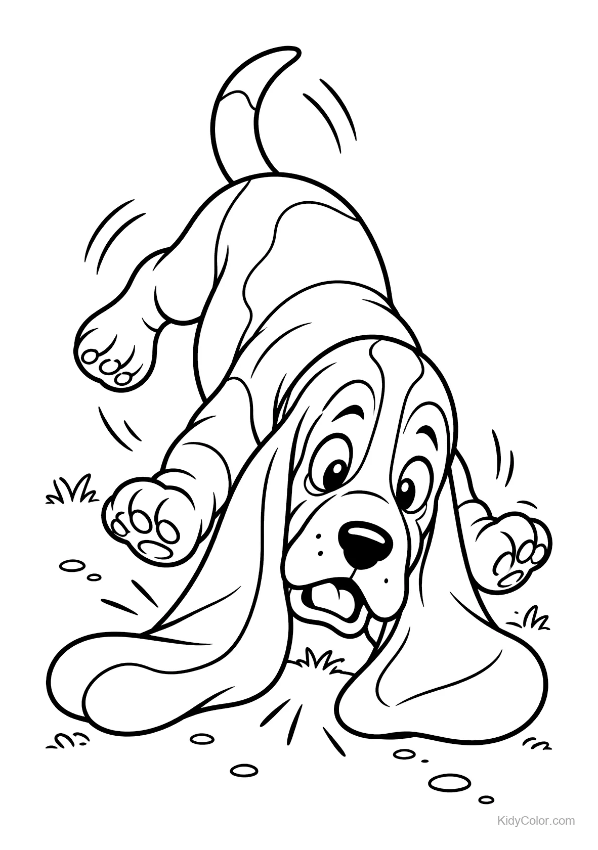 Basset Hound puppy playfully tumbling in the grass.