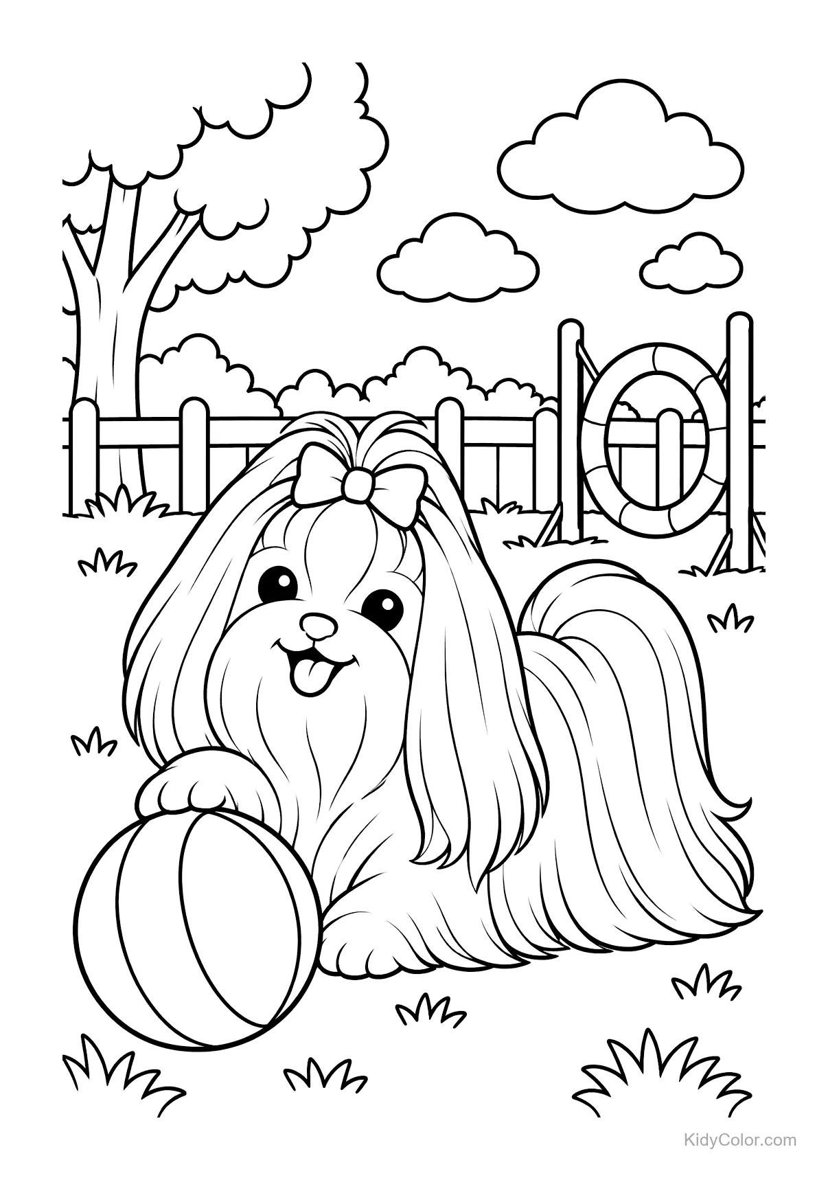 Maltezer hond met een bal in een park.