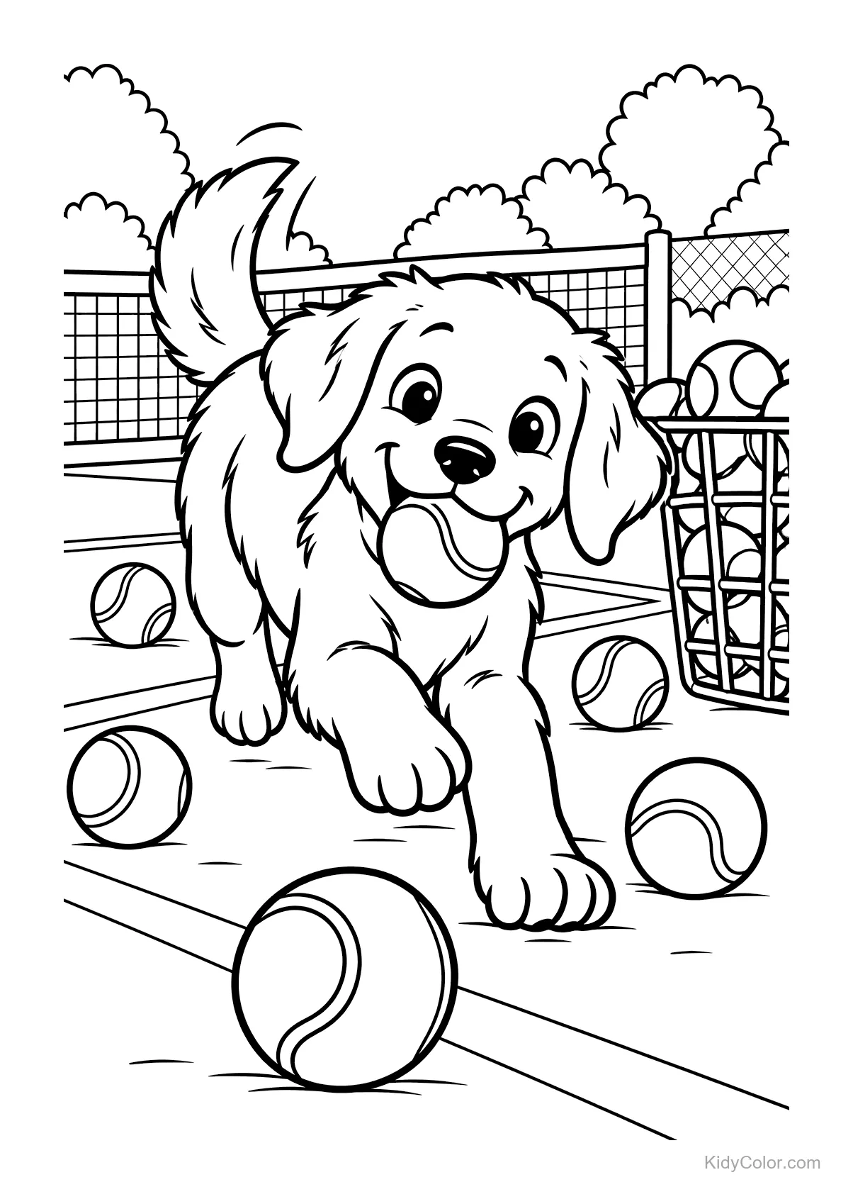 Cachorrinho correndo em uma quadra com bolas de tênis ao redor.