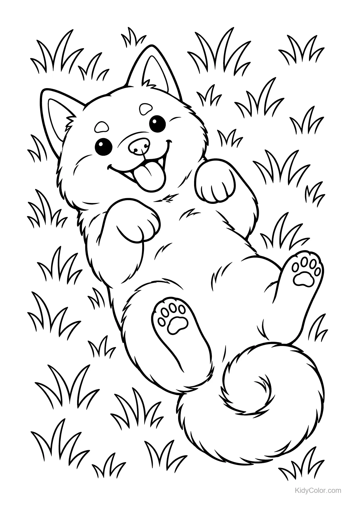Shiba Inu joyeux roulant dans l'herbe avec un air heureux.