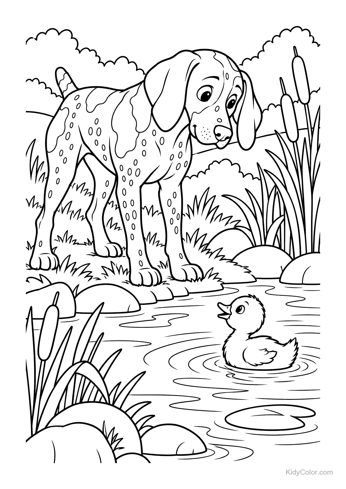 German Shorthaired Pointer and duckling near a pond.