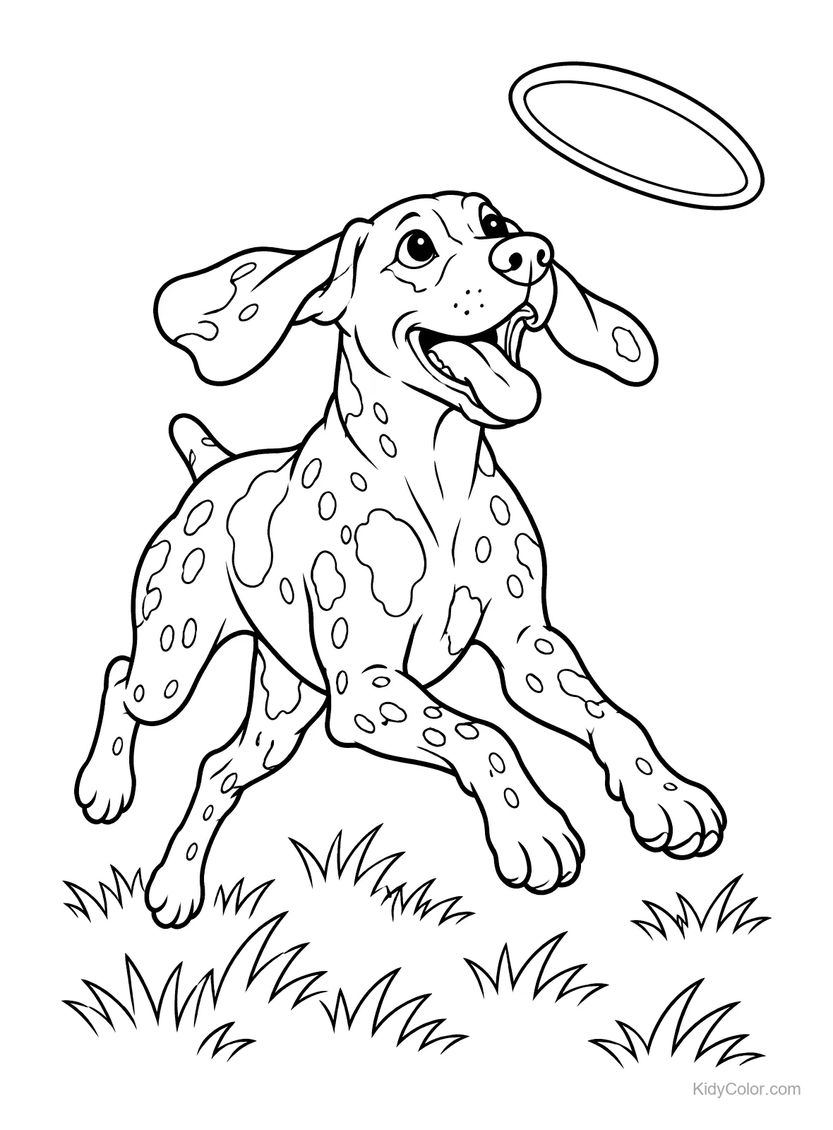 German Shorthaired Pointer chasing a frisbee in grass.