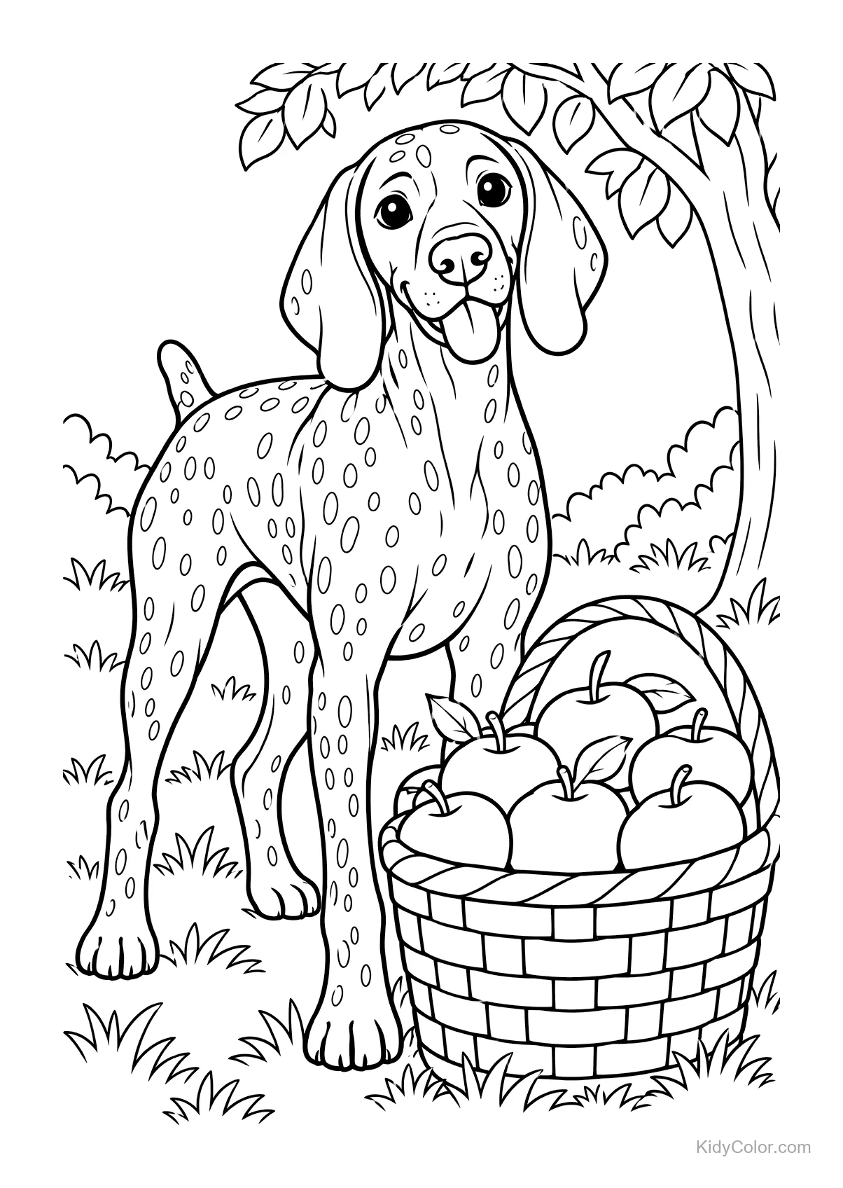 German Shorthaired Pointer with an apple basket under a tree.