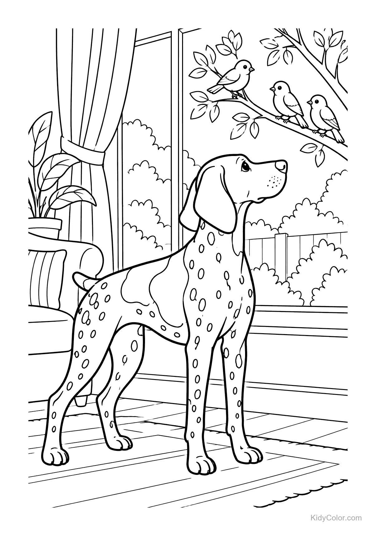 German Shorthaired Pointer watching birds through a window.