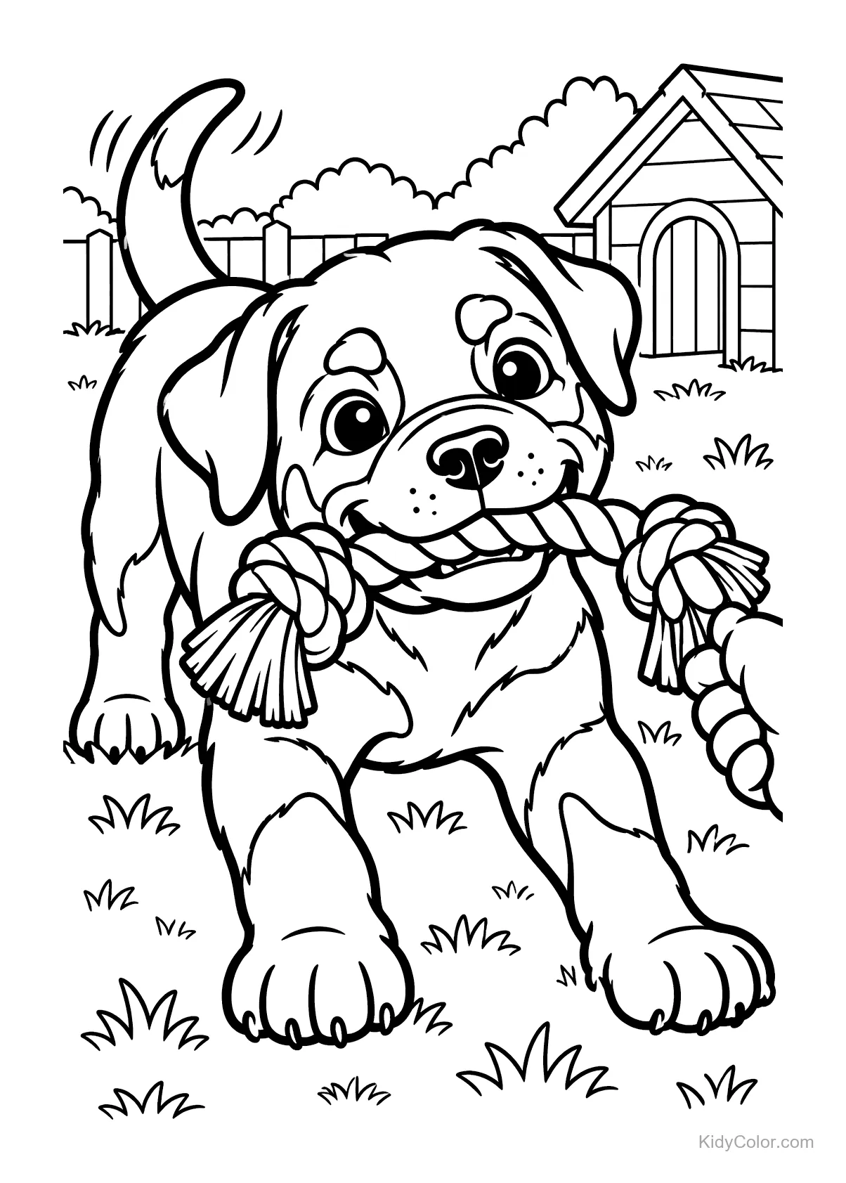 Puppy holding a rope toy in its mouth, standing in a yard.