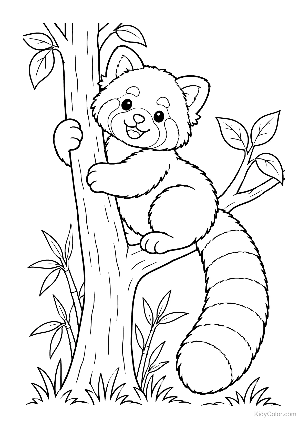 Czerwony panda z uśmiechem wspina się na drzewo.