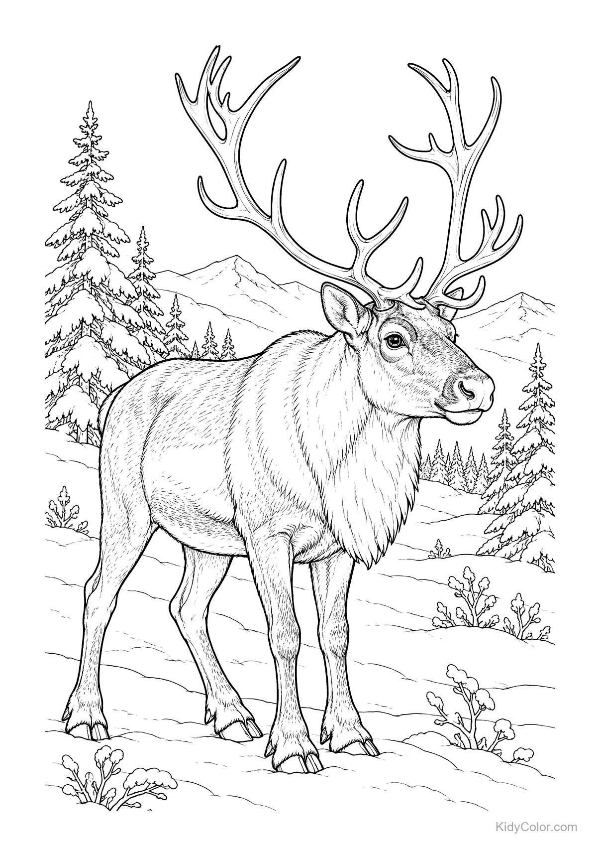 Reindeer with antlers standing in a snowy landscape with trees.