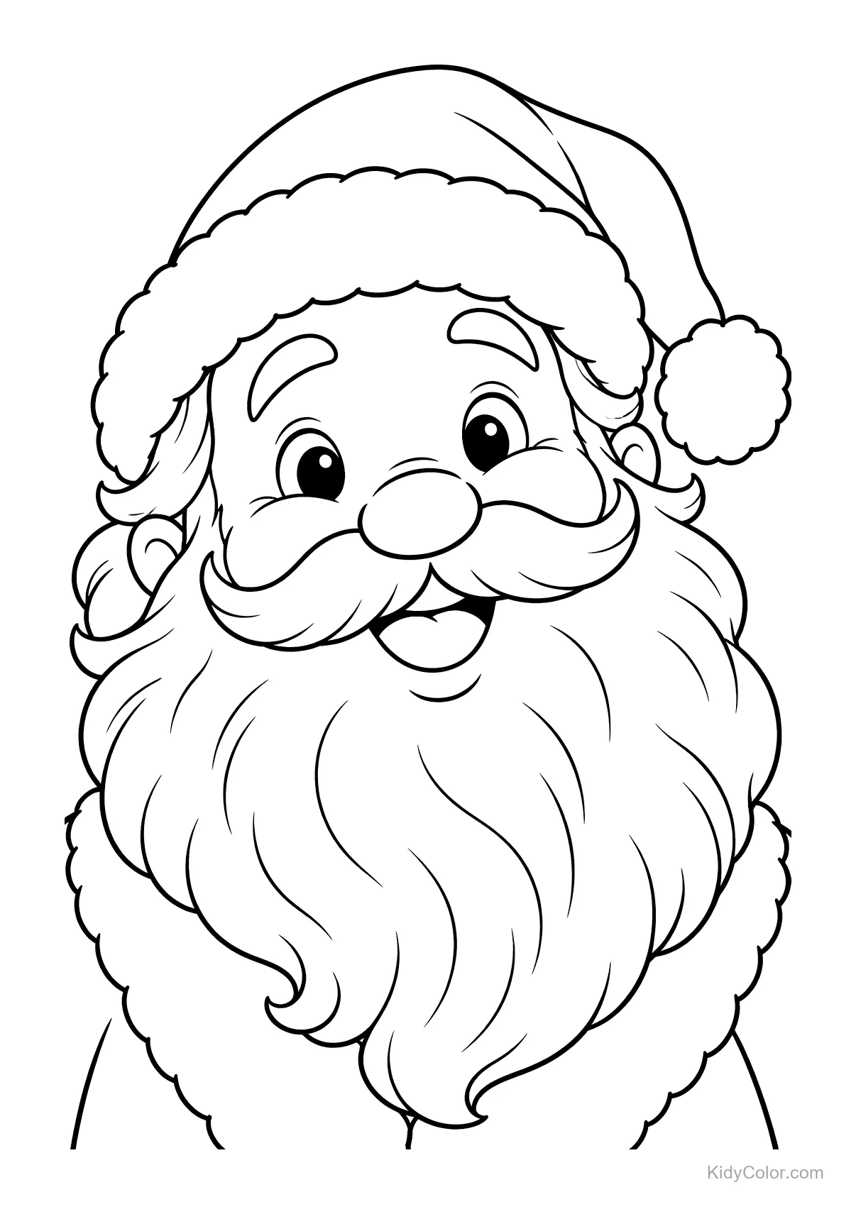Santa Claus with a big beard and a festive hat.