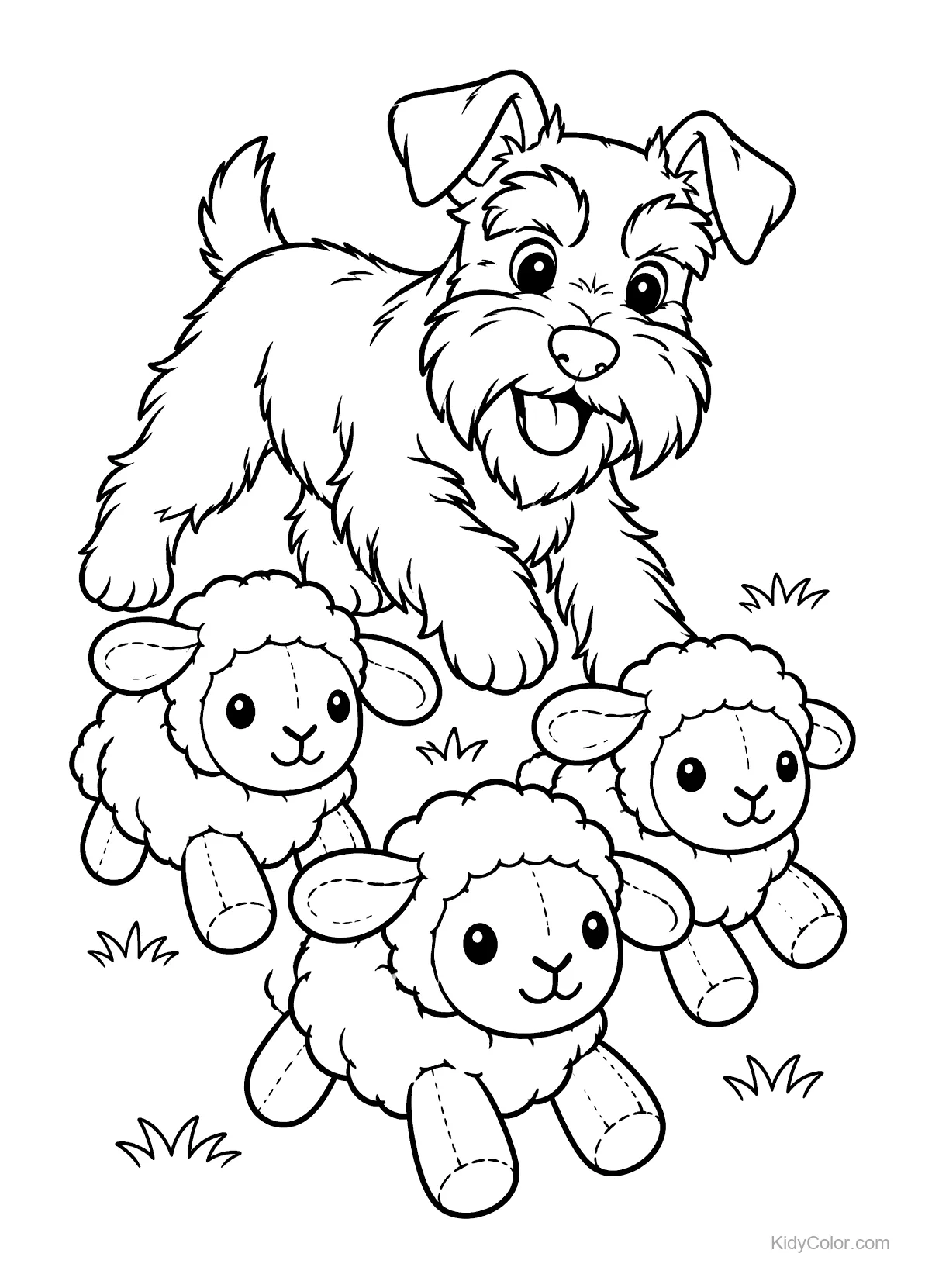 A Miniature Schnauzer herding plush sheep.