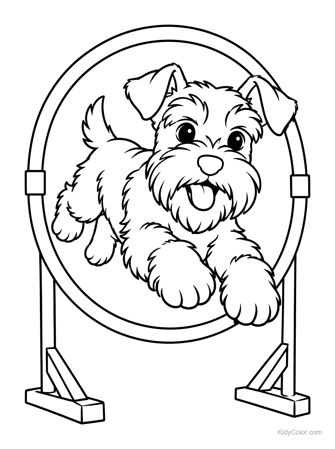 Miniature Schnauzer jumping through a hoop.