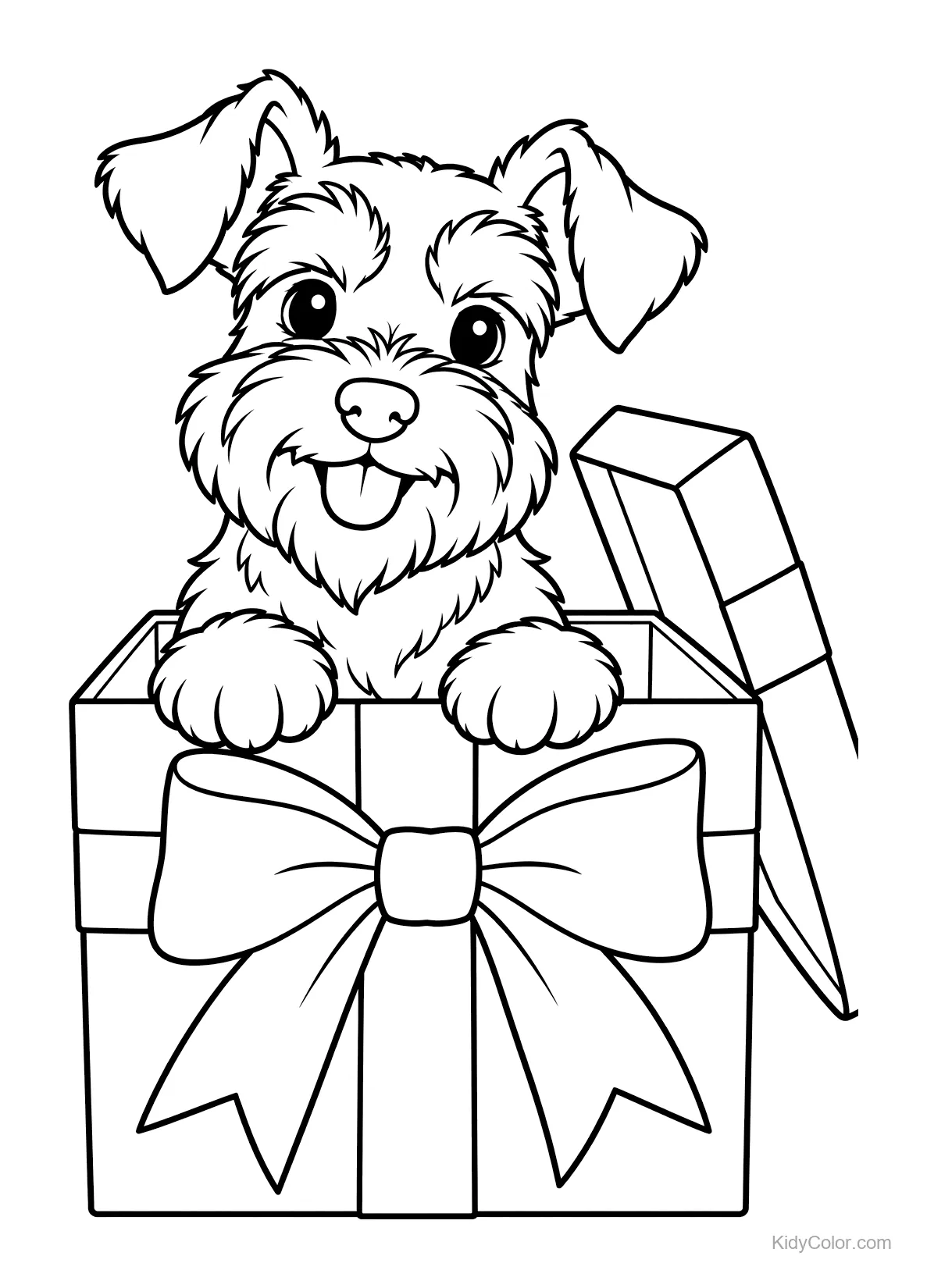 Chiot Schnauzer sortant d'une boîte cadeau avec un nœud.