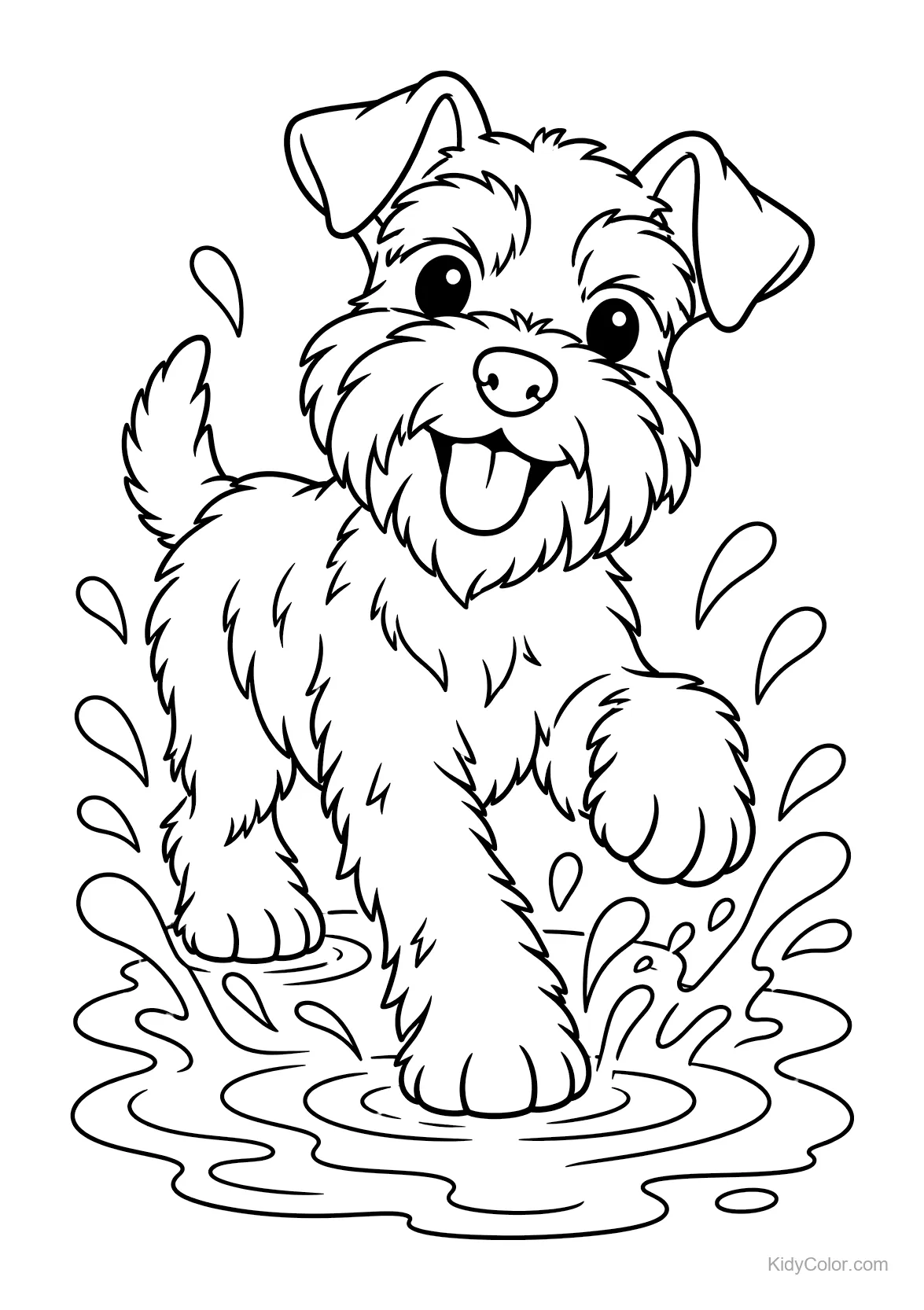 Een schnauzerhond die vrolijk in een plas water speelt.