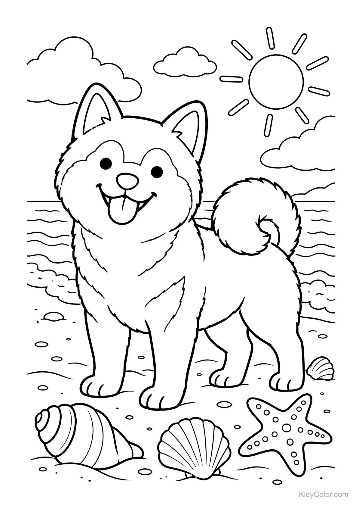Shiba Inu sorridente sulla spiaggia con conchiglie e stella marina.