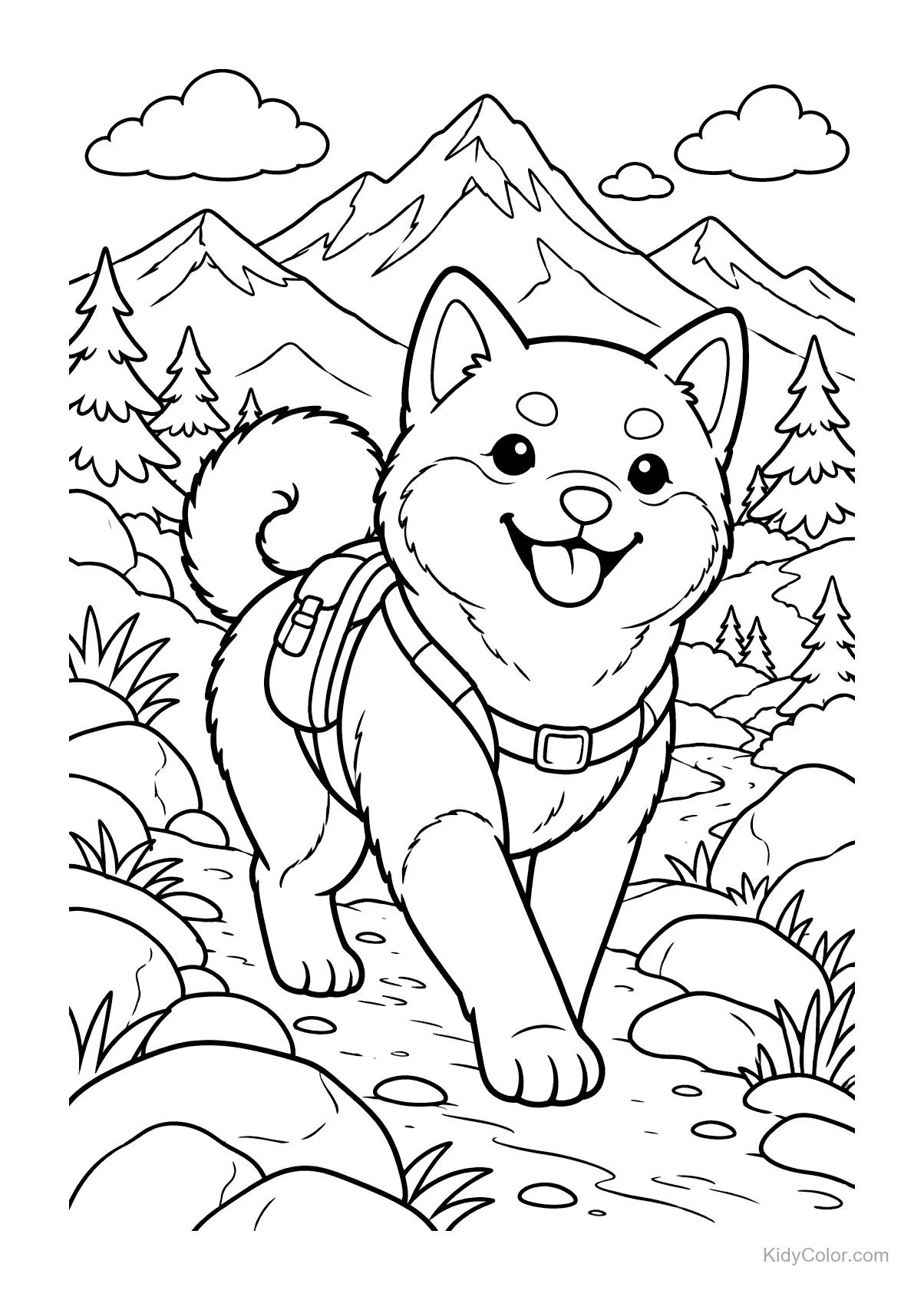 Shiba Inu mit Rucksack auf einem Bergpfad.