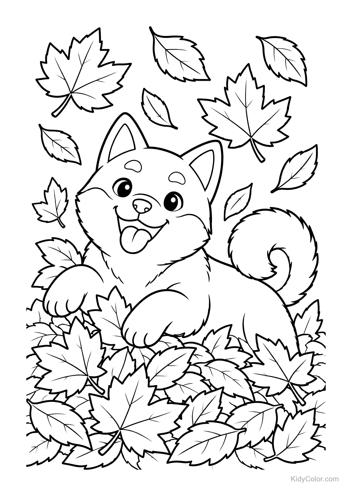 Shiba Inu Hund mit offenem Mund spielt im Herbstlaub.