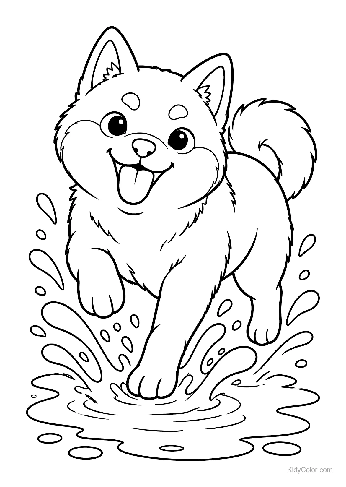 Ein Shiba Inu planscht glücklich in einer Pfütze.