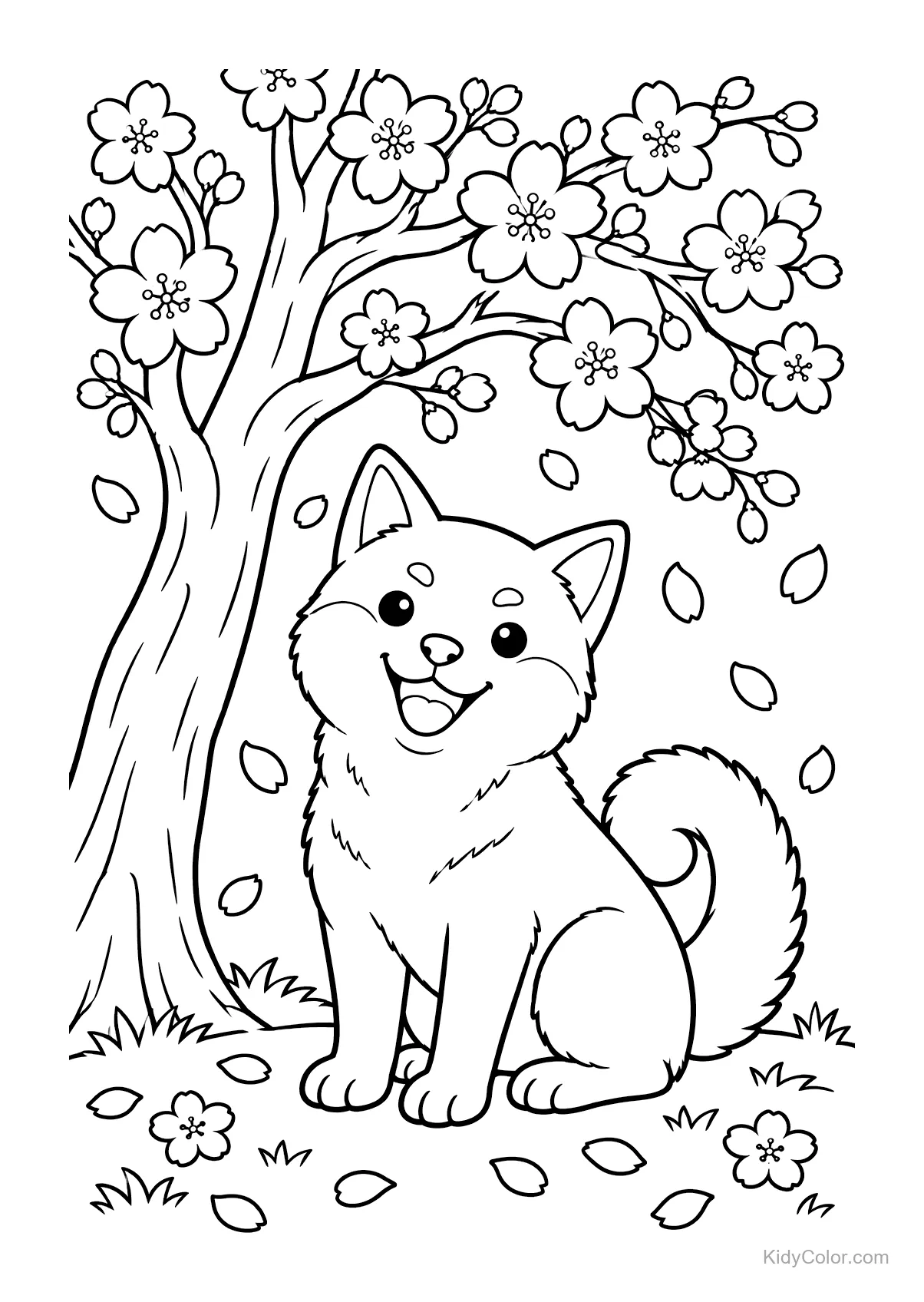 Shiba Inu assis sous des cerisiers avec des pétales qui tombent.