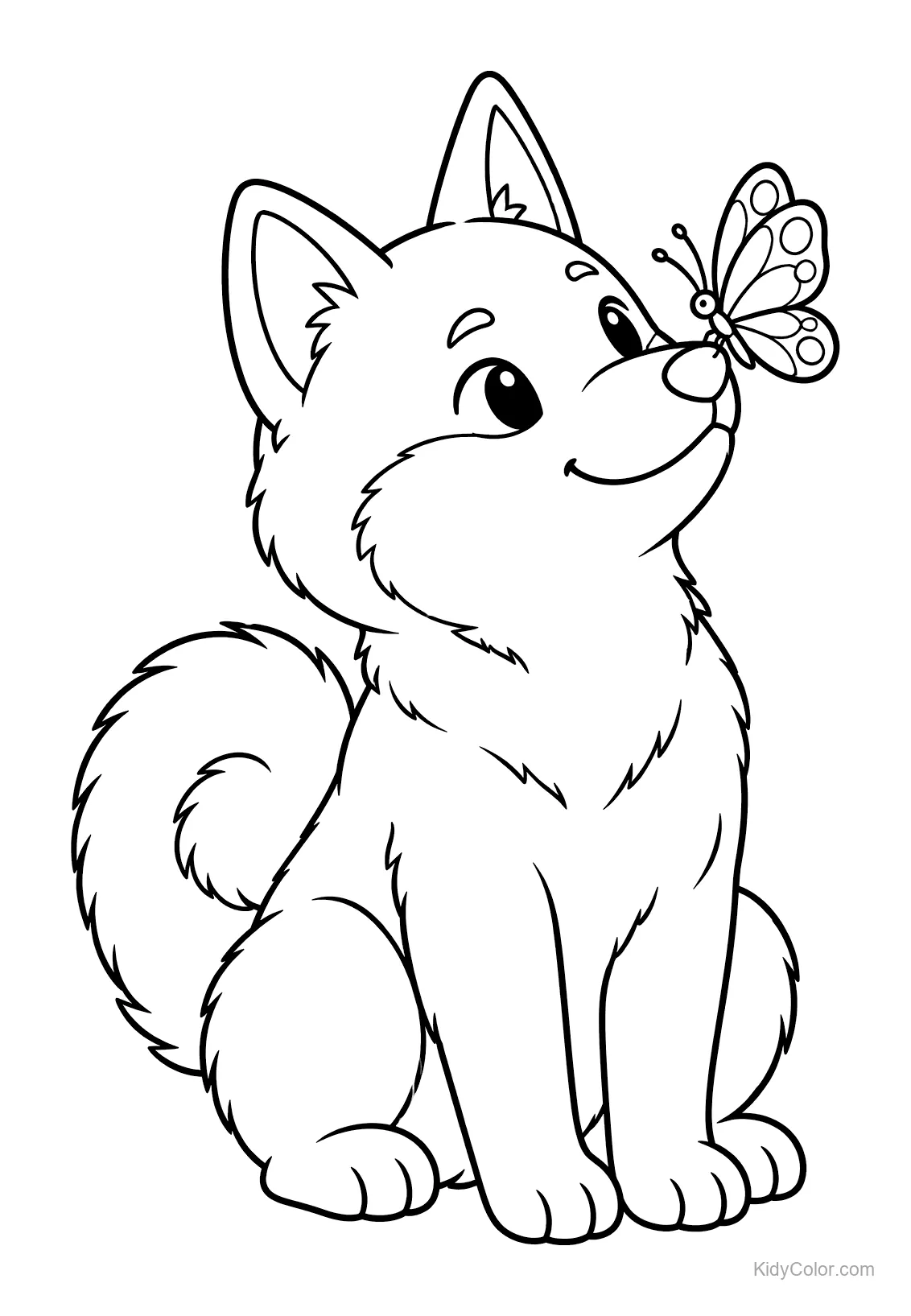 Shiba Inu z motylem na nosie, siedzący spokojnie.