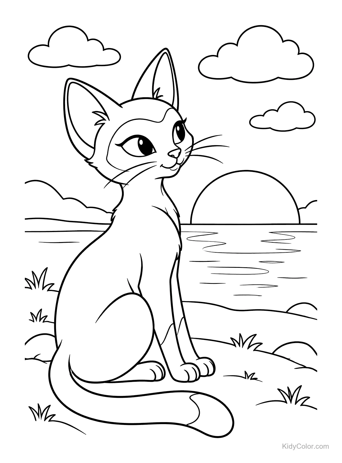Siamese cat sitting by a lake at sunset with clouds in the sky.