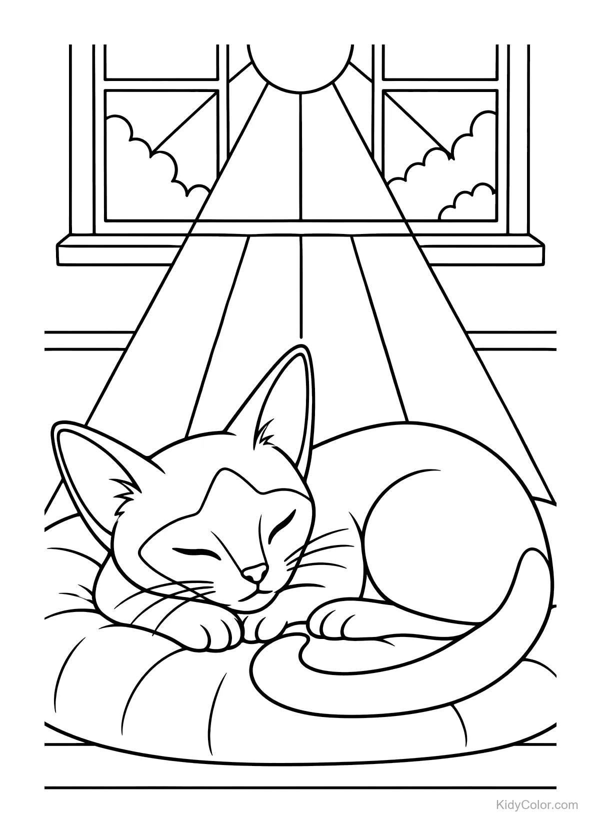 Siamese cat napping in sunlight by a window.
