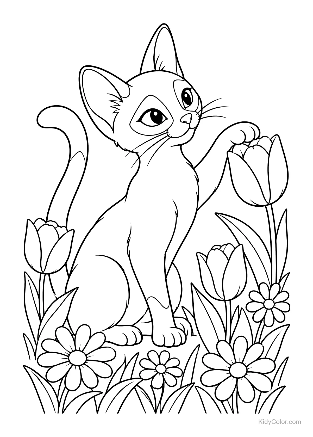 Gato siamês brincando entre tulipas e margaridas.