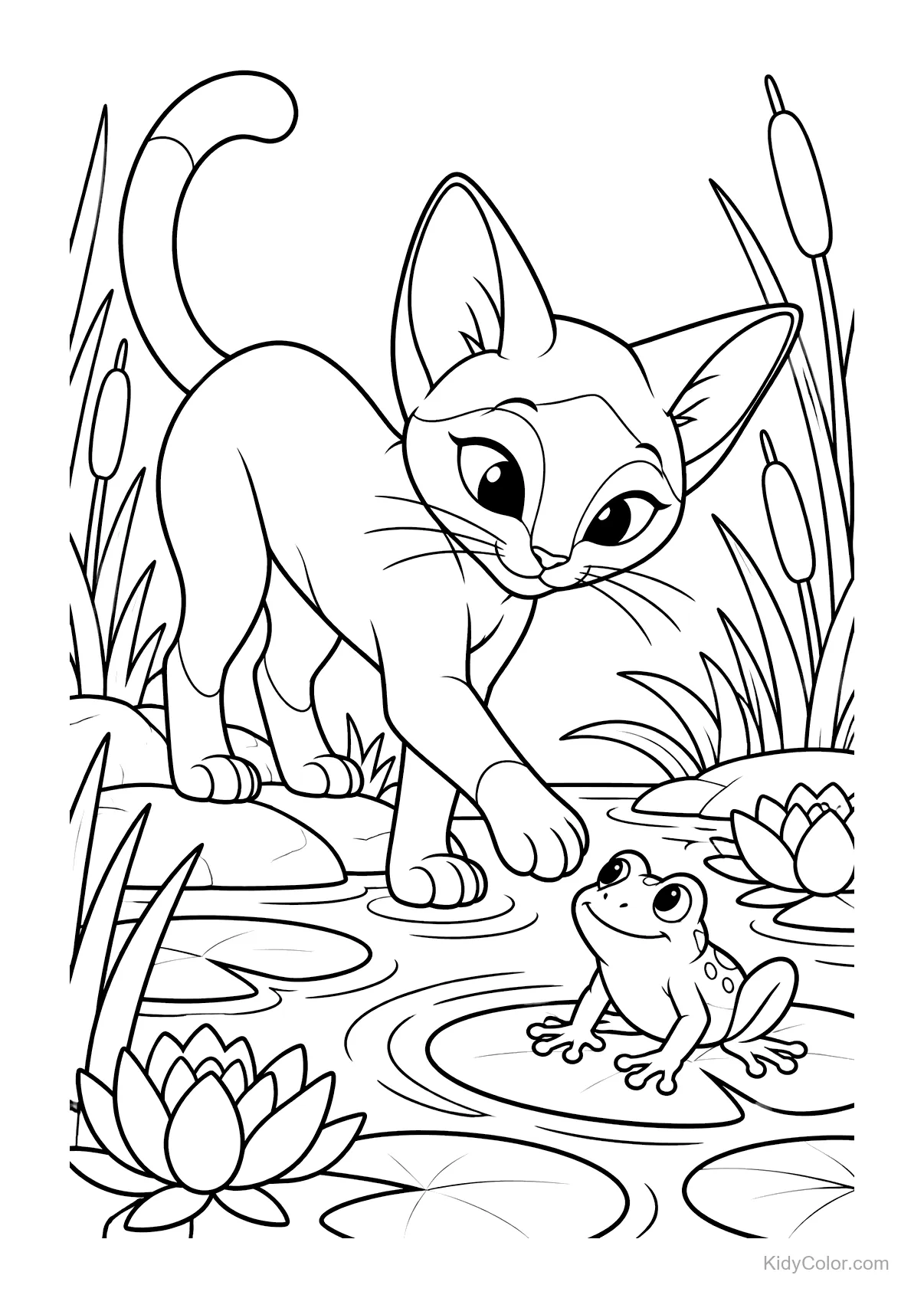 Gato siamês tocando um sapo perto de um lago com plantas.