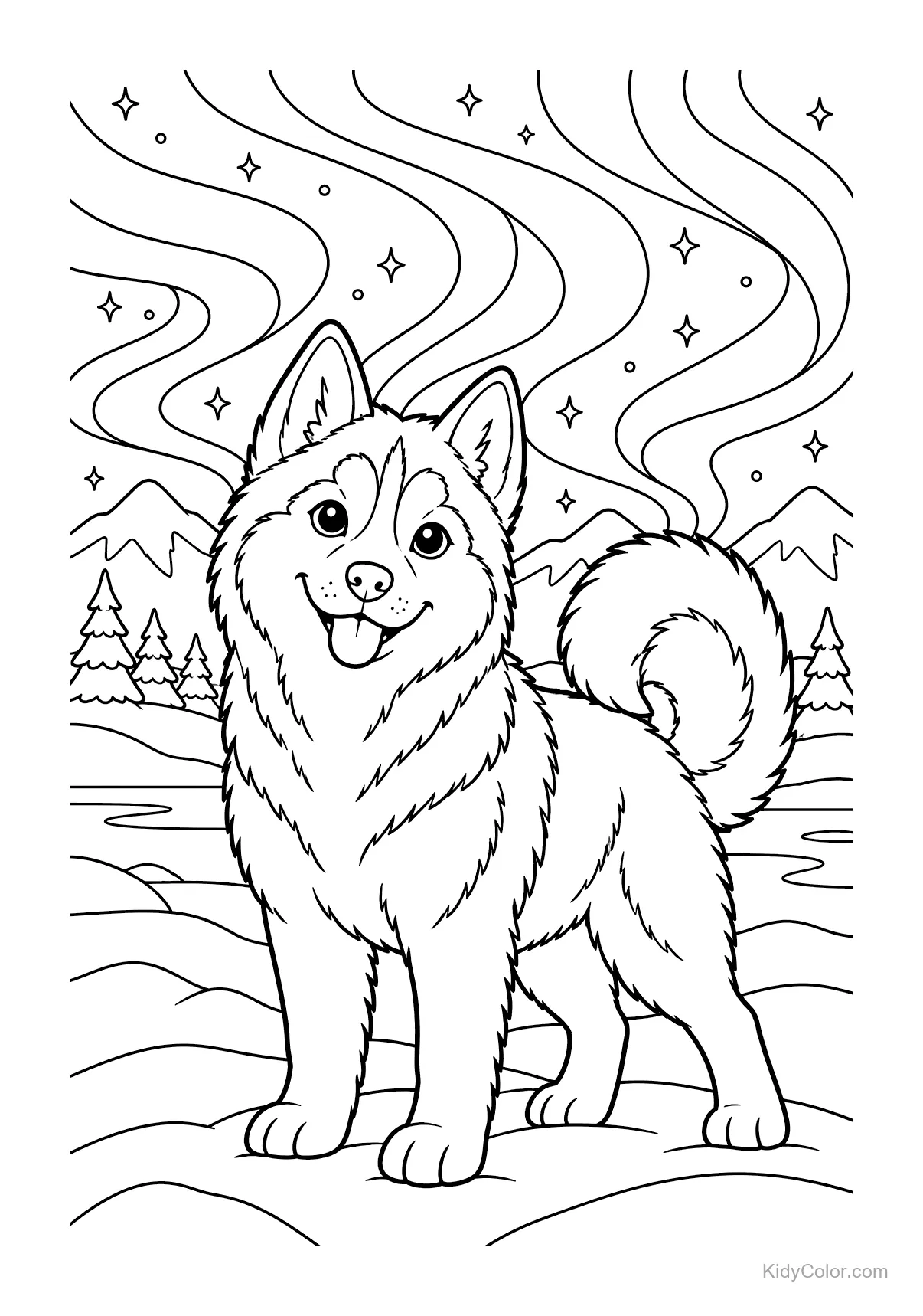 Siberian Husky standing under northern lights with stars.