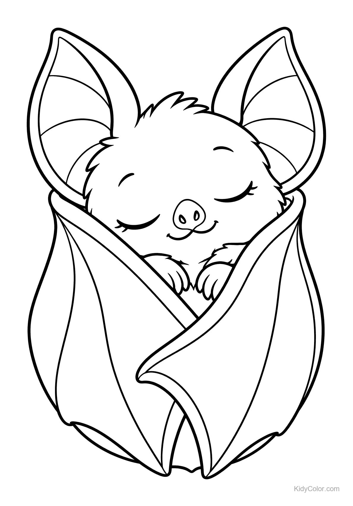 A baby bat snuggled in its wings with eyes closed.