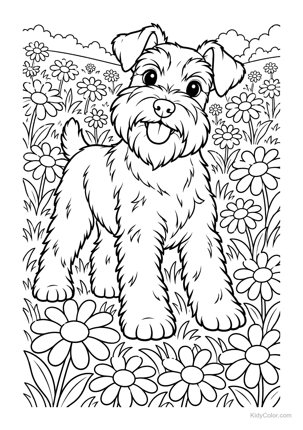 Schnauzer nano in un campo di margherite, felice.