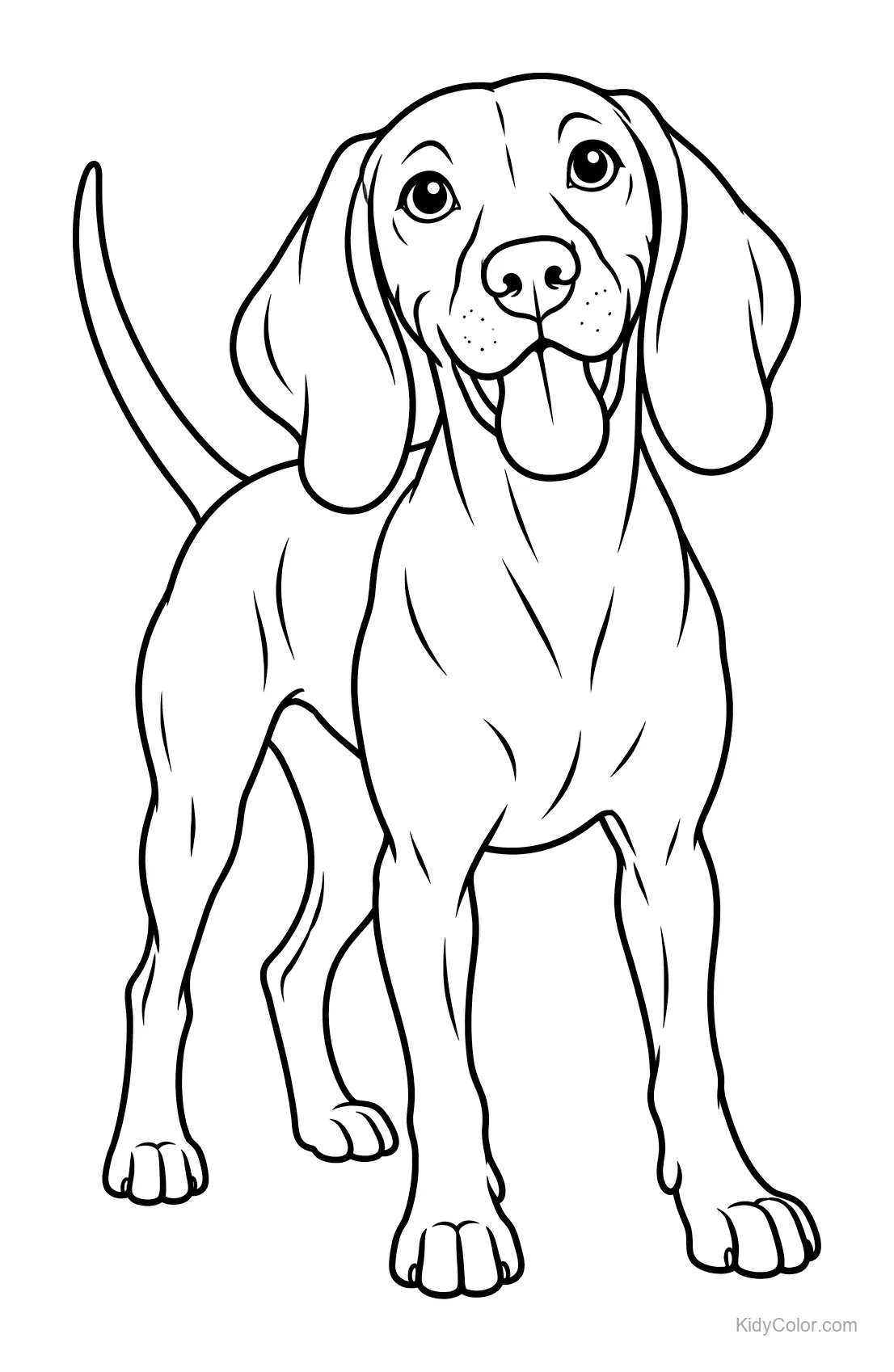A Vizsla dog standing and smiling with its tail up.