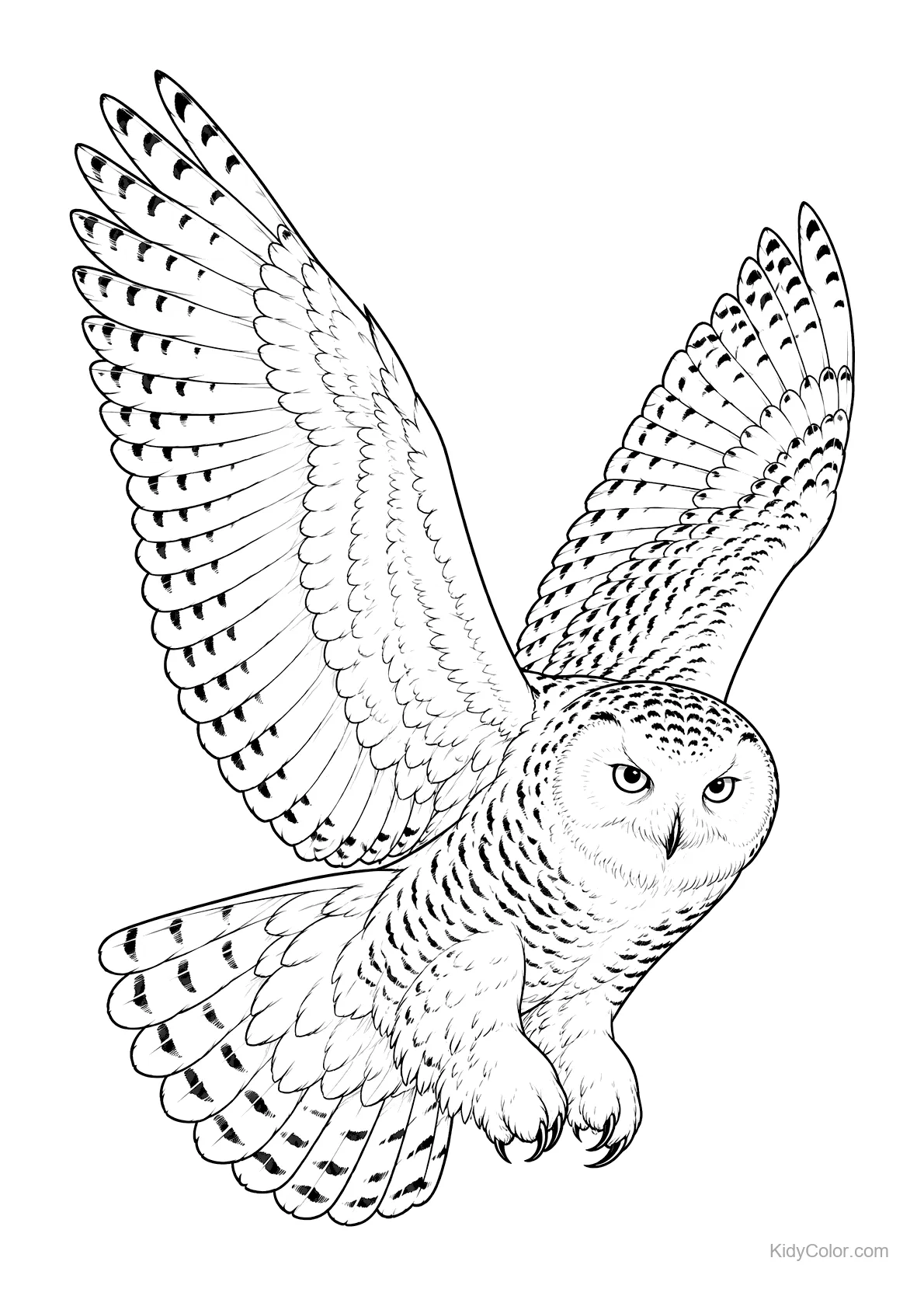 Snowy owl in mid-flight with wide wings outstretched.