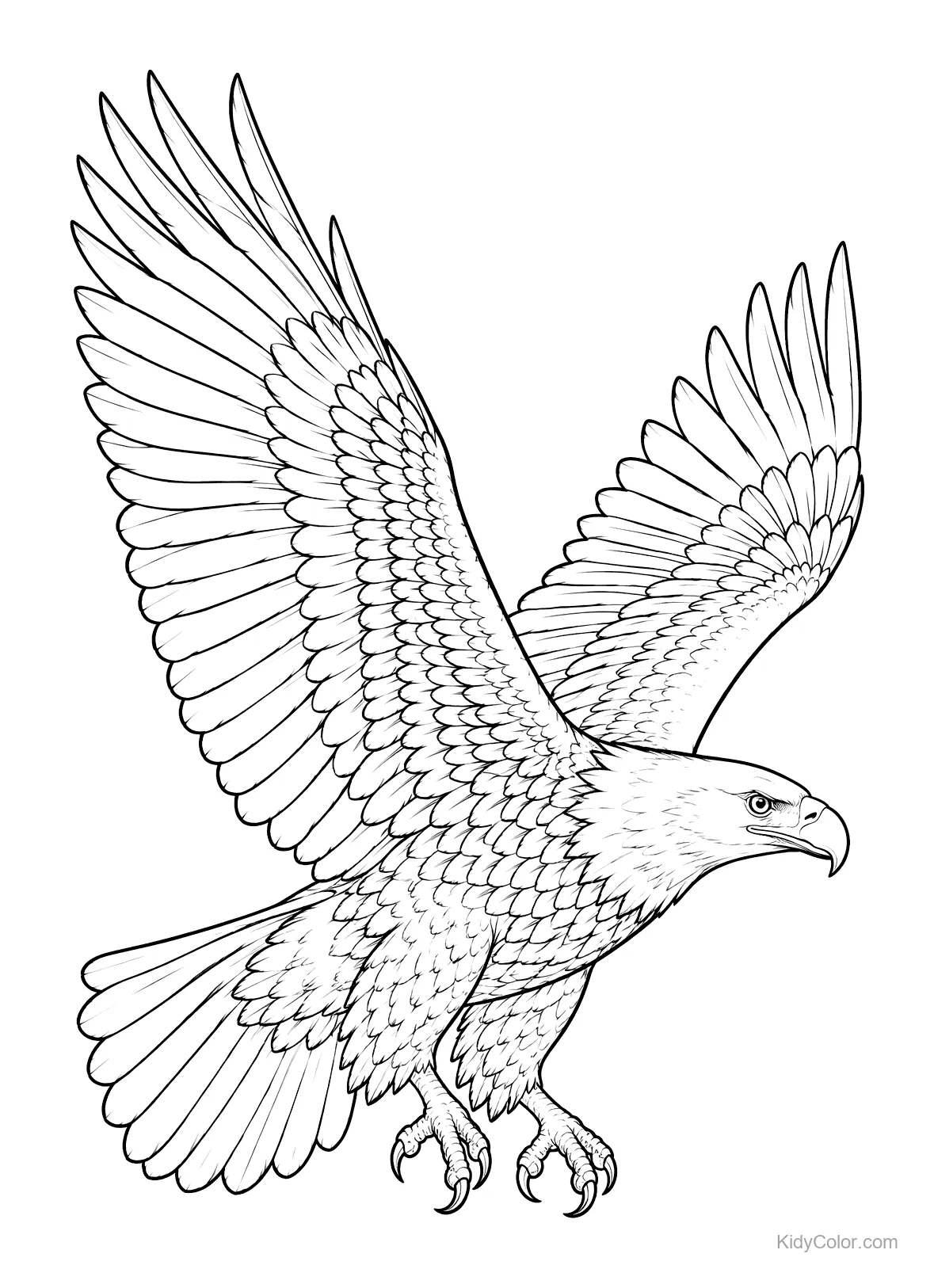 A bald eagle soaring with wings spread wide in line art.