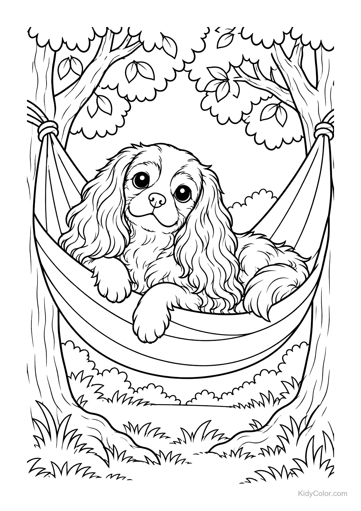 Cavalier King Charles Spaniel allongé dans un hamac entre deux arbres.