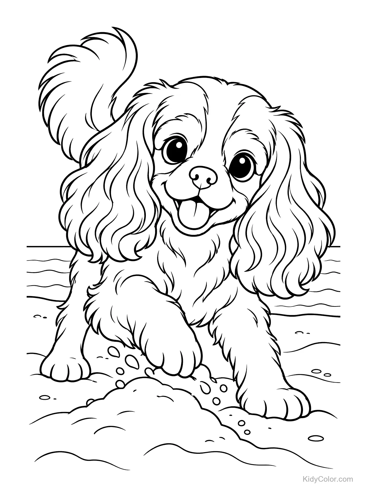 Cavalier King Charles Spaniel kopiący w piasku.