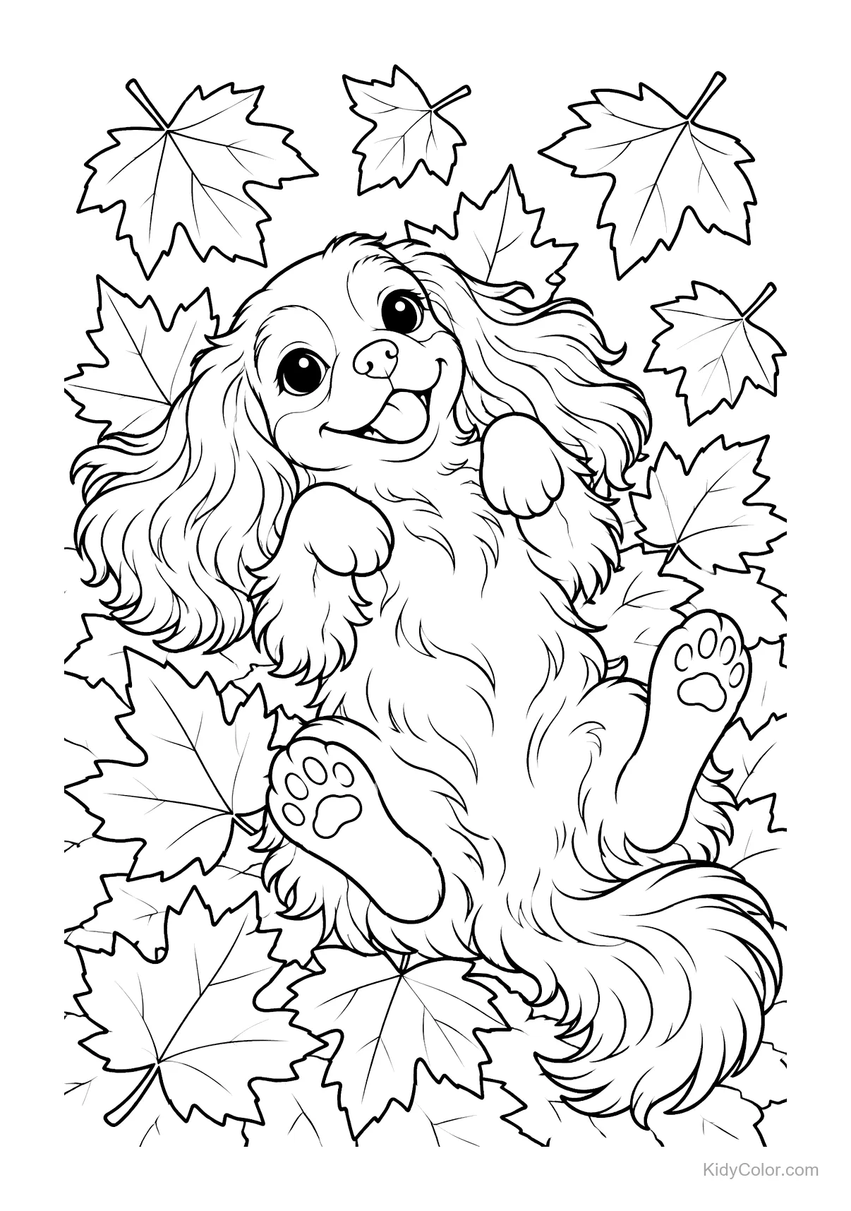 Cavalier King Charles Spaniel rolling in autumn leaves.