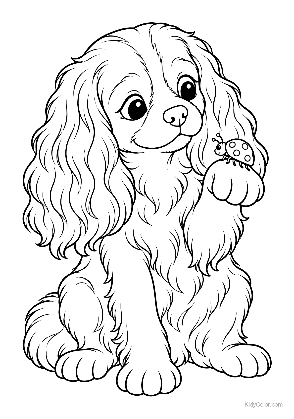 Cavalier King Charles Spaniel avec une coccinelle sur sa patte.
