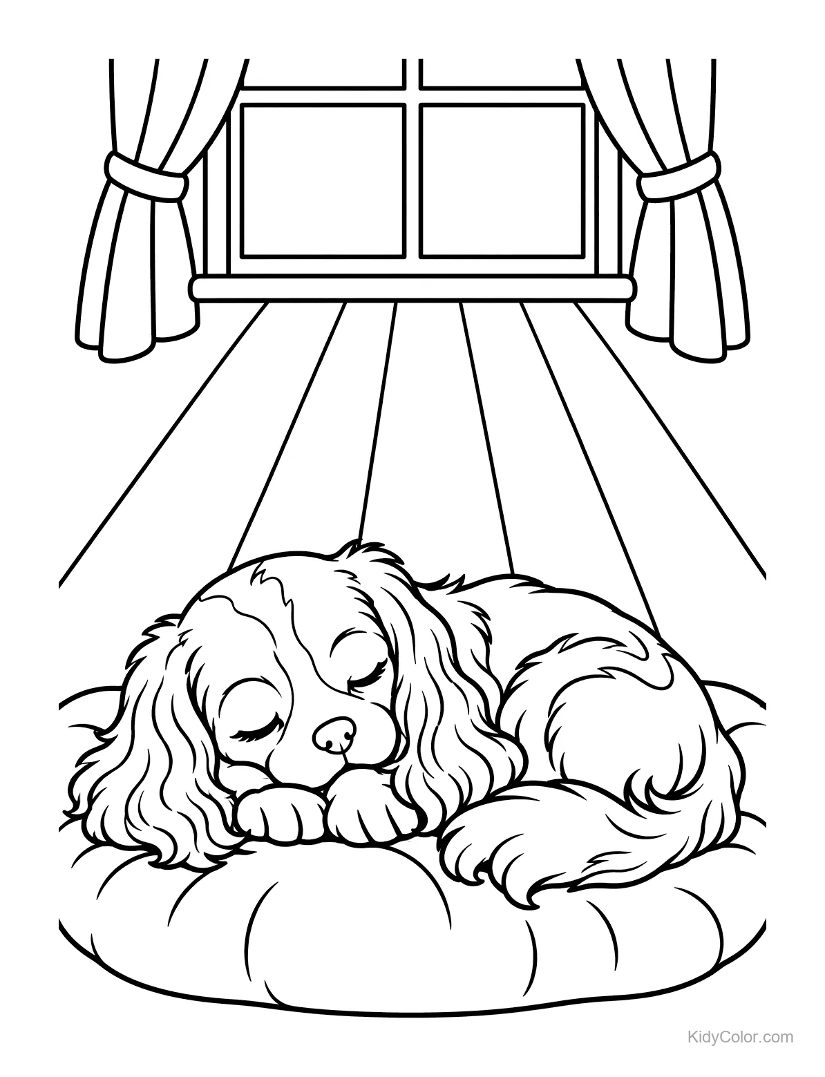 Cavalier King Charles Spaniel sleeping on a cushion in sunlight.