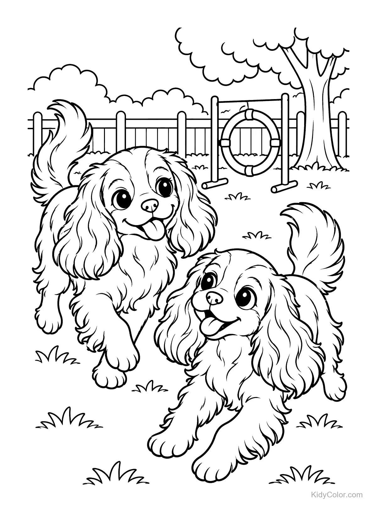 Deux Cavalier King Charles Spaniels jouent dans un parc avec des arbres et une clôture.