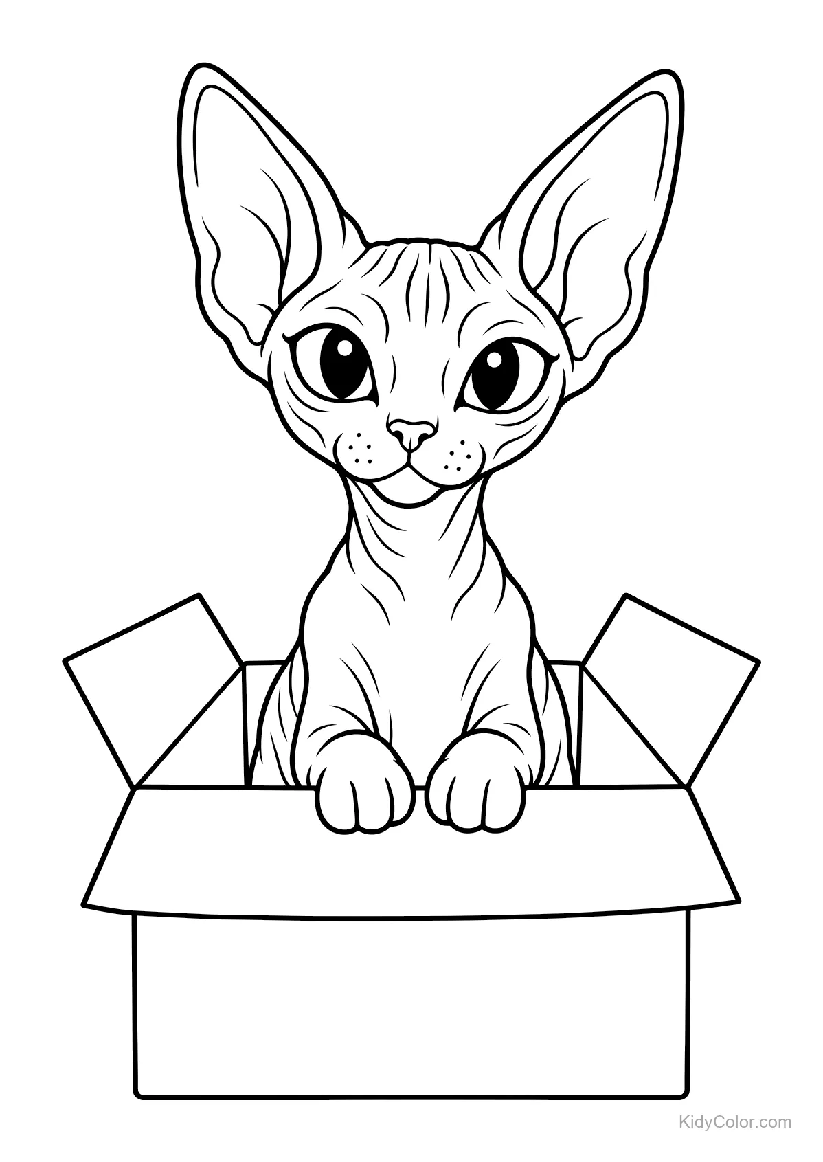 Sphynx cat with large ears peeking from a box.