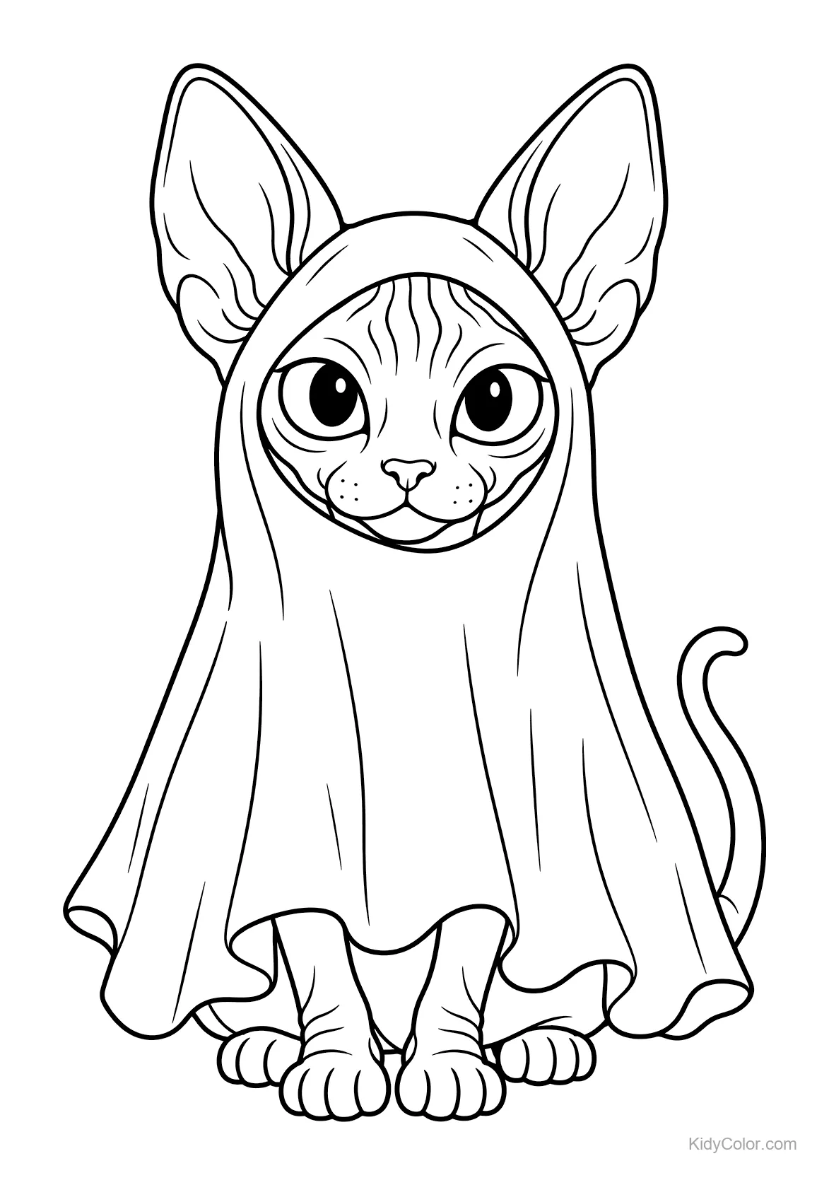 Sphynx cat with large eyes playfully draped in a sheet.