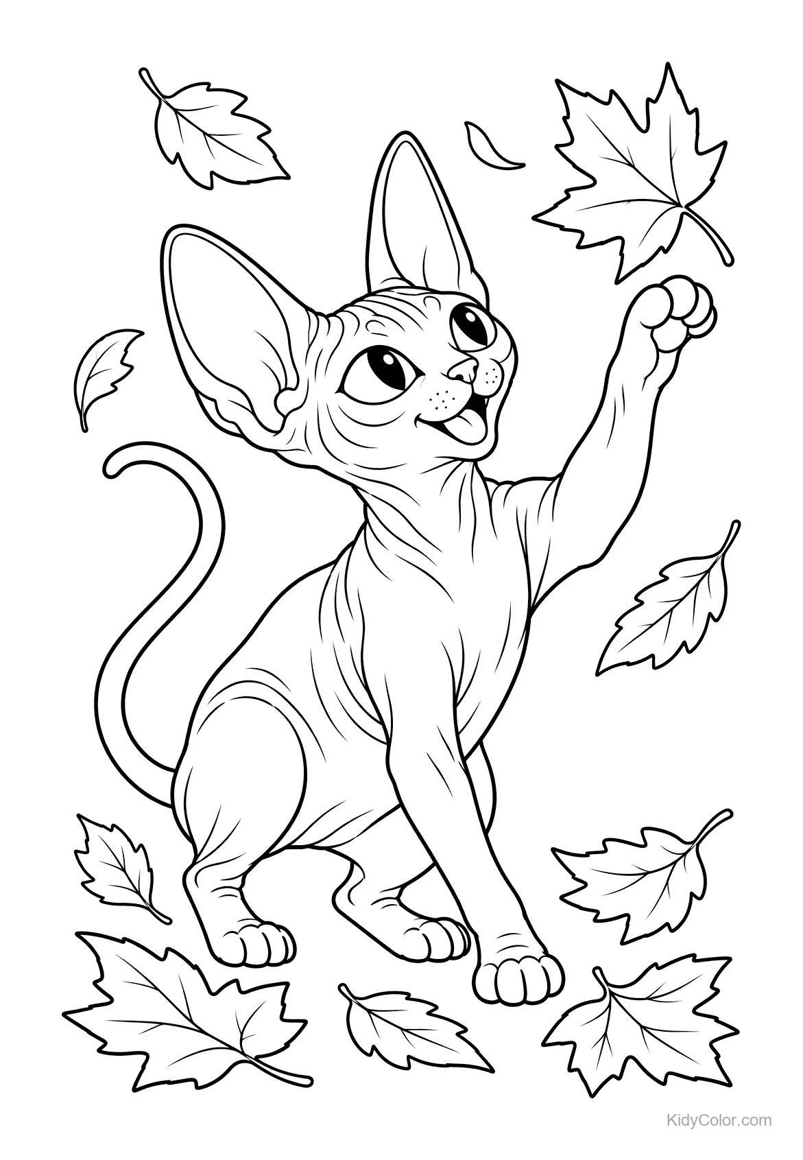 Sphynx cat playing with several falling leaves.